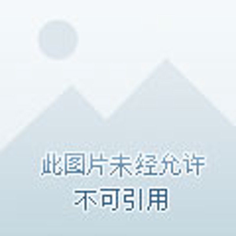 义乌日用百货批发:商贸流通的“橱窗”
